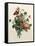 Bouquet of Rose and Lily of the Valley-Jean Louis Prevost-Framed Stretched Canvas