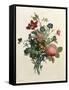 Bouquet of Rose and Lily of the Valley-Jean Louis Prevost-Framed Stretched Canvas