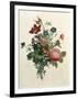 Bouquet of Rose and Lily of the Valley-Jean Louis Prevost-Framed Giclee Print