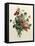 Bouquet of Rose and Lily of the Valley-Jean Louis Prevost-Framed Stretched Canvas