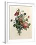 Bouquet of Rose and Lily of the Valley-Jean Louis Prevost-Framed Giclee Print