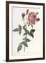 Bouquet of Rose, Anemone and Clematis-Pierre-Joseph Redouté-Framed Giclee Print