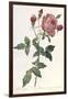 Bouquet of Rose, Anemone and Clematis-Pierre-Joseph Redouté-Framed Giclee Print