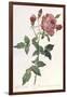 Bouquet of Rose, Anemone and Clematis-Pierre-Joseph Redouté-Framed Giclee Print