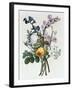 Bouquet of Rose, Narcissus and Hyacinth by Jean Louis Prevost-Fine Art Photographic-Framed Photographic Print