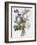 Bouquet of Rose, Narcissus and Hyacinth-Jean Louis Prevost-Framed Giclee Print