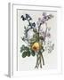 Bouquet of Rose, Narcissus and Hyacinth-Jean Louis Prevost-Framed Giclee Print