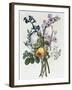 Bouquet of Rose, Narcissus and Hyacinth-Jean Louis Prevost-Framed Giclee Print