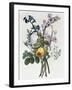 Bouquet of Rose, Narcissus and Hyacinth-Jean Louis Prevost-Framed Premium Giclee Print