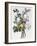 Bouquet of Rose, Narcissus and Hyacinth-Jean Louis Prevost-Framed Giclee Print