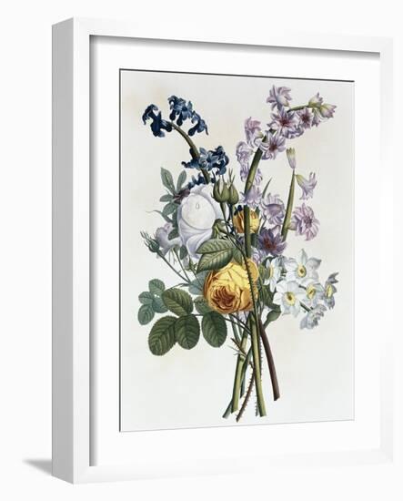 Bouquet of Rose, Narcissus and Hyacinth-Jean Louis Prevost-Framed Giclee Print