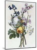 Bouquet of Rose, Narcissus and Hyacinth-Jean Louis Prevost-Mounted Giclee Print