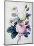 Bouquet of Roses with Daisies, Published 1834-Pierre Joseph Redoute-Mounted Giclee Print