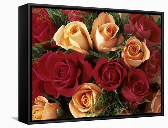 Bouquet of Roses with Light Pink and Read Blossoms-null-Framed Stretched Canvas