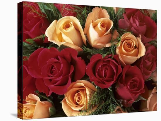 Bouquet of Roses with Light Pink and Read Blossoms-null-Stretched Canvas