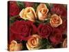 Bouquet of Roses with Light Pink and Read Blossoms-null-Stretched Canvas