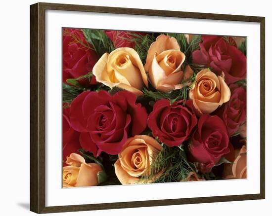 Bouquet of Roses with Light Pink and Read Blossoms-null-Framed Photographic Print