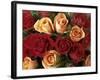Bouquet of Roses with Light Pink and Read Blossoms-null-Framed Photographic Print