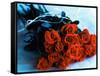 Bouquet of Roses-Colin Anderson-Framed Stretched Canvas