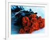 Bouquet of Roses-Colin Anderson-Framed Photographic Print