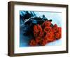 Bouquet of Roses-Colin Anderson-Framed Photographic Print