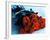 Bouquet of Roses-Colin Anderson-Framed Photographic Print