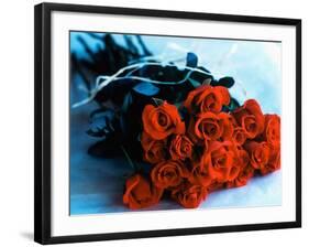 Bouquet of Roses-Colin Anderson-Framed Photographic Print