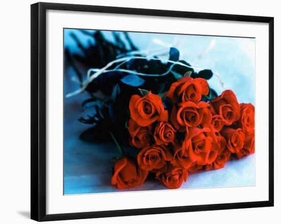 Bouquet of Roses-Colin Anderson-Framed Photographic Print