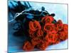 Bouquet of Roses-Colin Anderson-Mounted Photographic Print