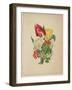 Bouquet of Tulips, from Flora's Dictionary, 1838-E. W. Wirt-Framed Giclee Print