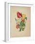 Bouquet of Tulips, from Flora's Dictionary, 1838-E. W. Wirt-Framed Giclee Print