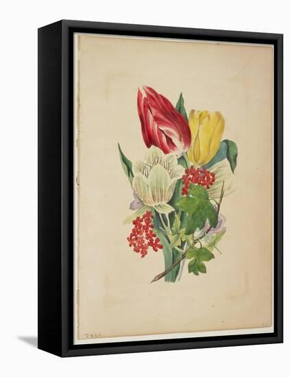 Bouquet of Tulips, from Flora's Dictionary, 1838-E. W. Wirt-Framed Stretched Canvas