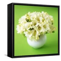 Bouquet of White Freesias in Spherical Vase-Michael Paul-Framed Stretched Canvas