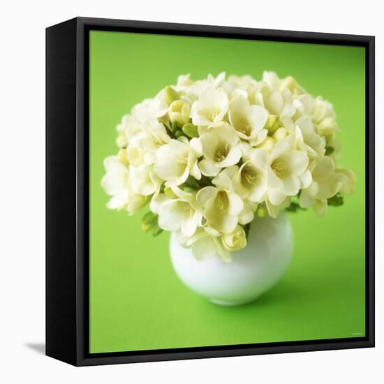 Bouquet of White Freesias in Spherical Vase-Michael Paul-Framed Stretched Canvas