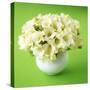Bouquet of White Freesias in Spherical Vase-Michael Paul-Stretched Canvas