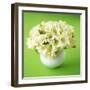 Bouquet of White Freesias in Spherical Vase-Michael Paul-Framed Photographic Print