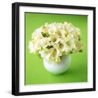 Bouquet of White Freesias in Spherical Vase-Michael Paul-Framed Photographic Print