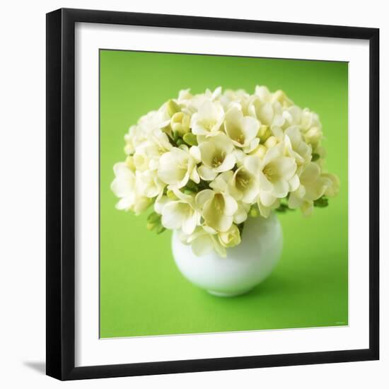 Bouquet of White Freesias in Spherical Vase-Michael Paul-Framed Photographic Print