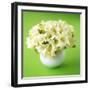 Bouquet of White Freesias in Spherical Vase-Michael Paul-Framed Photographic Print