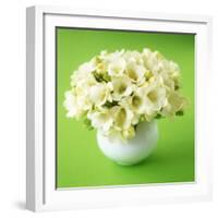 Bouquet of White Freesias in Spherical Vase-Michael Paul-Framed Photographic Print