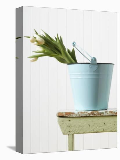 Bouquet of White Tulips in Bucket-null-Stretched Canvas