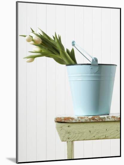Bouquet of White Tulips in Bucket-null-Mounted Photographic Print