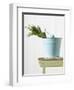 Bouquet of White Tulips in Bucket-null-Framed Photographic Print