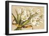 Bouquet perla-Lisa Corradini-Framed Art Print