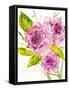 Bouquet Rose I-Melissa Wang-Framed Stretched Canvas
