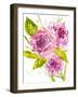 Bouquet Rose I-Melissa Wang-Framed Art Print