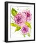 Bouquet Rose I-Melissa Wang-Framed Art Print