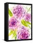 Bouquet Rose II-Melissa Wang-Framed Stretched Canvas