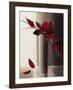 Bouquet Rouge I-Olivier Tramoni-Framed Art Print