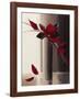 Bouquet Rouge I-Olivier Tramoni-Framed Art Print